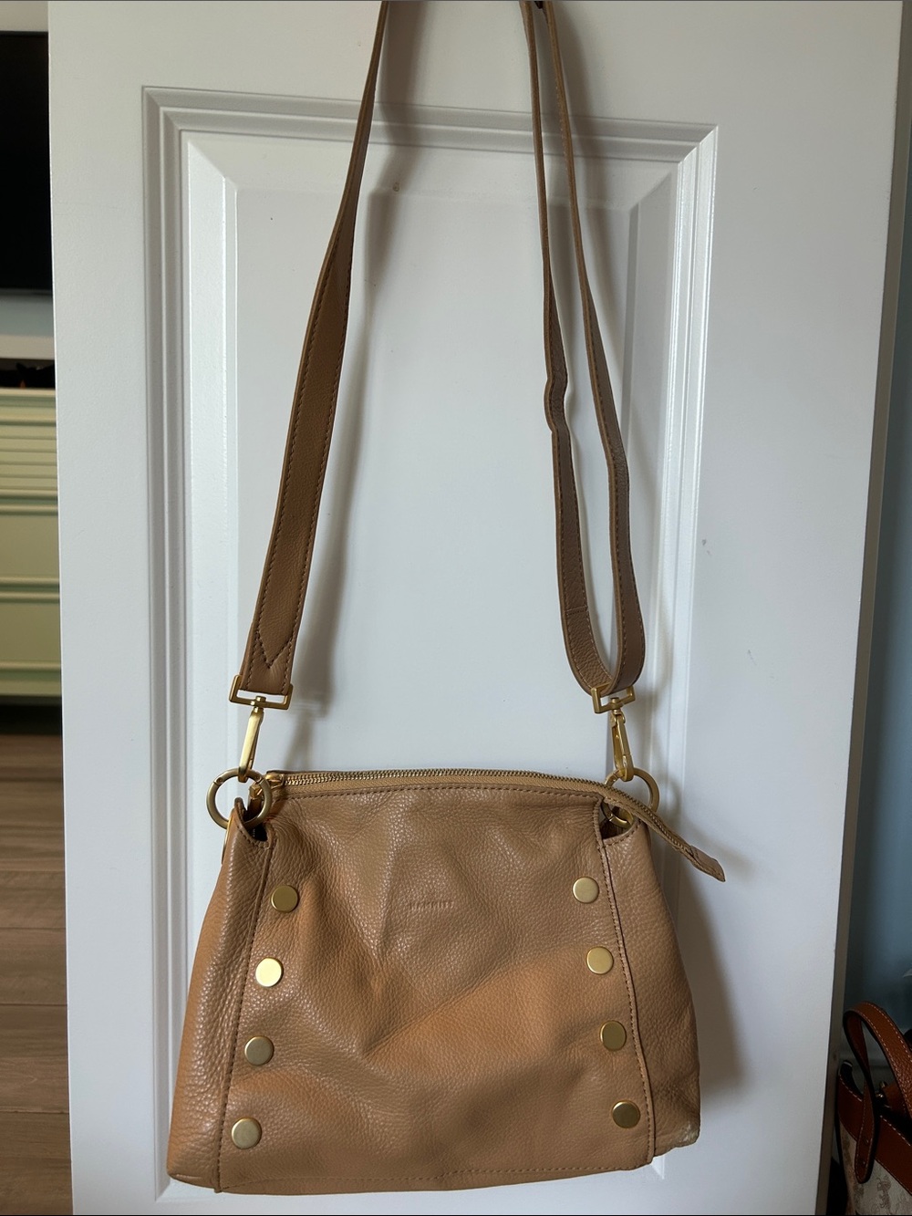 Hammitt Leather Crossbody Bag in Tan